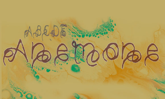 Anemone Font for Stylish Branding and Headlines