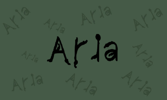 Aria Display Font for Clean and Original Branding