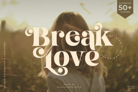Break Love: The Premium Display Font for Modern Digital Brands