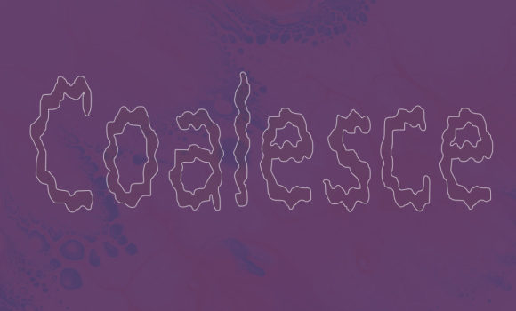 Coalesce Font for Professional and Eye-Catching Branding